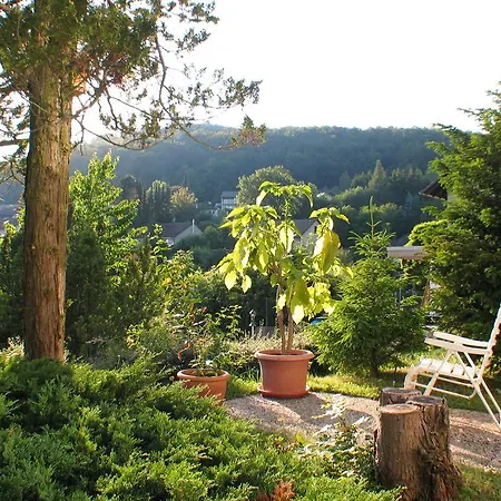 In Waldrandlage * Zierenberg