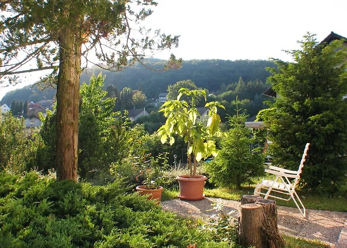 In Waldrandlage * Zierenberg